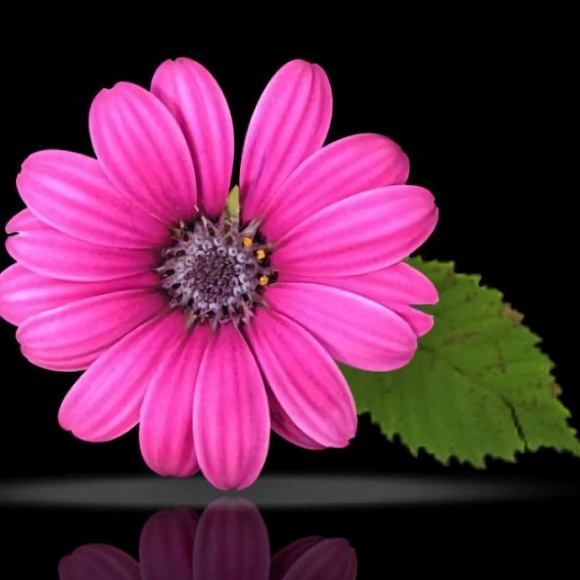 Meet your Posher, June - Picture 1 of 1